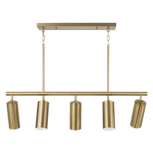 Capital Canada 861751AD - 40" W x 11.25" H 5-Light Adjustable Linear Chandelier in Aged Brass