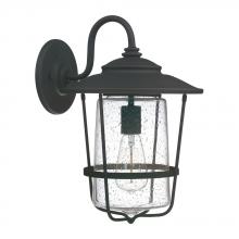 Capital Canada 9602BK - 1 Light Outdoor Wall Lantern