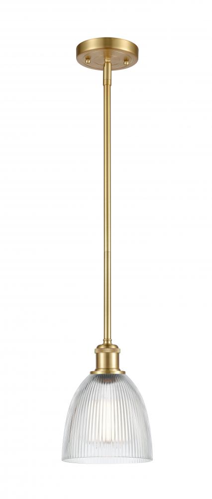Castile - 1 Light - 6 inch - Satin Gold - Mini Pendant