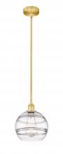 Innovations Lighting 616-1S-SG-G556-10CL - Rochester - 1 Light - 10 inch - Satin Gold - Stem hung - Mini Pendant