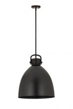 Innovations Lighting 712-1S-BK-M712-18BK - Newton Bell Pendant