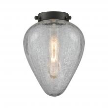 Innovations Lighting G165 - Geneseo Clear Crackle Glass