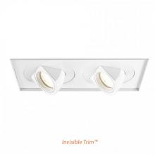 WAC Canada MT-5LD225TL-F35-WT - Tesla LED Multiple Two Light Invisible Trim with Light Engine