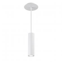 WAC Canada PD-W36610-WT - CALIBER Outdoor Pendant Light