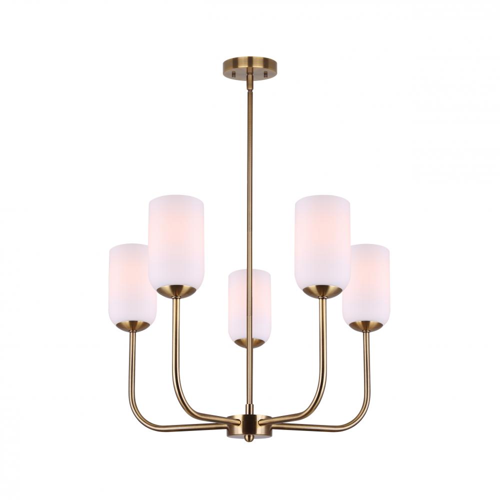 Novalee 5 Light Gold Modern Chandelier for Dining Rooms and Living Rooms