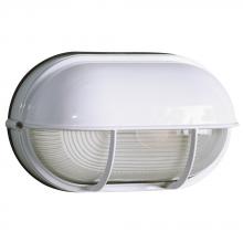 Galaxy Lighting ES305562WH - Outdoor Cast Aluminum Wall Mount Marine Light with Hood - in White finish with Frosted Glass