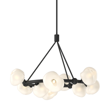 Hubbardton Forge - Canada 131069-SKT-MULT-10-FD0710 - Ume 9-Light Ring Pendant