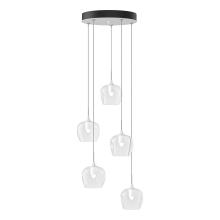 Hubbardton Forge - Canada 131123-SKT-STND-02-ZM0709 - Ume 5-Light Pendant