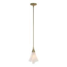 Hubbardton Forge - Canada 184530-SKT-MULT-86-SH1987 - Mobius Mini Pendant