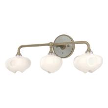 Hubbardton Forge - Canada 201342-SKT-84-85-FD0710 - Ume 3-Light Curved Arm Bath Sconce