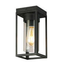 Eglo Canada 203667A - 1L Outdoor Ceiling Light / Plafonnier exterieure 1L